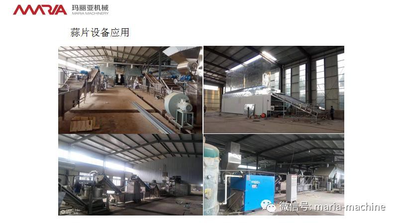 Dehydrated garlic flake production line Dehydrated garlic flake production line
