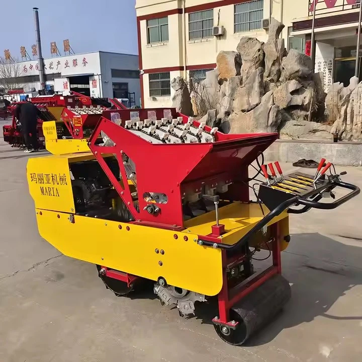 New Arrival Garlic Planting Tool With Depth Wheel And Marker 2x Faster Planting Speed OEM /ODM Tractor Seeder Machine