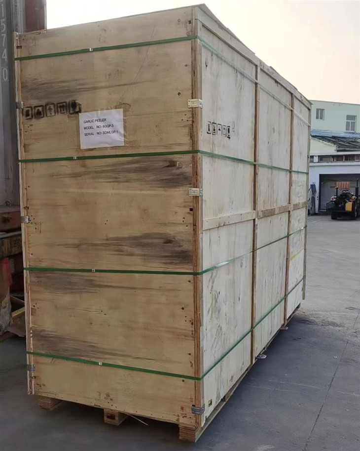 Peeled Garlic Production Line 1000kg/H