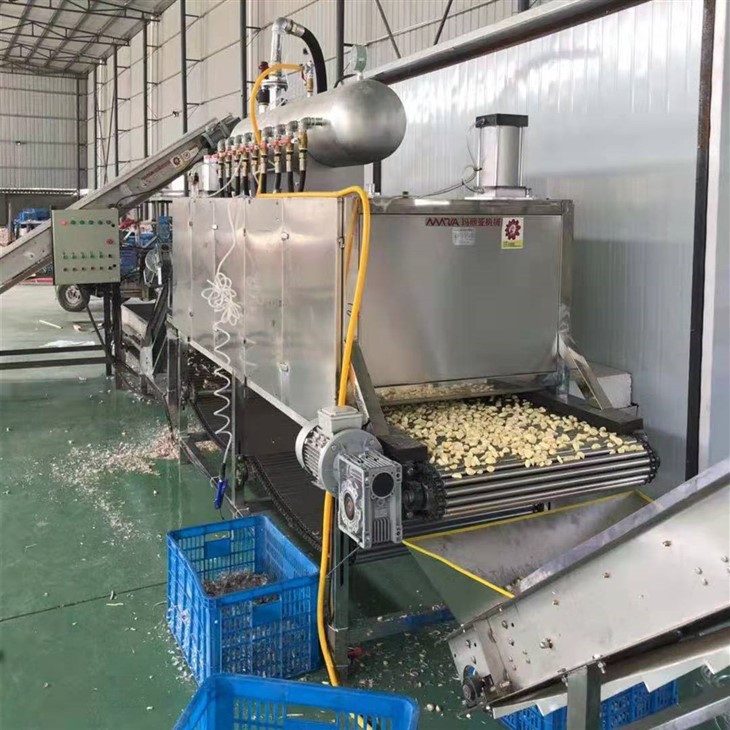 Peeled Garlic Production Line 1000kg/H